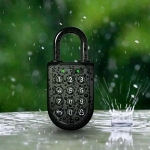 Încuietori electronice cu cifru pentru exterior